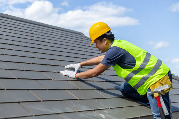 Best Roof Gutter Cleaning  in Katy, TX