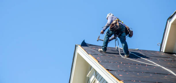 Sealant for Roof in Katy, TX